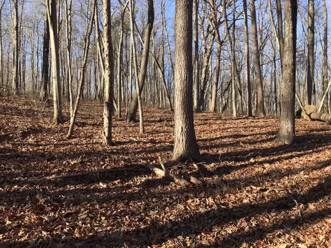 526 Bluff View Dr, Dunlap, TN 37327 photo 7