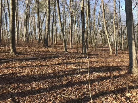 526 Bluff View Dr, Dunlap, TN 37327