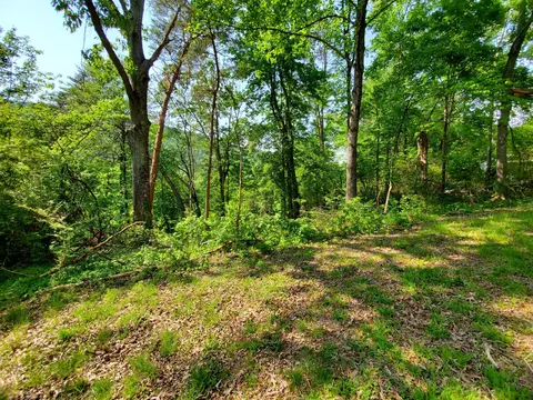 1105862 Loop Rd, Soddy Daisy, TN 37379 photo 2