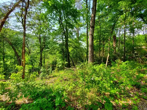 1105862 Loop Rd, Soddy Daisy, TN 37379 photo 6