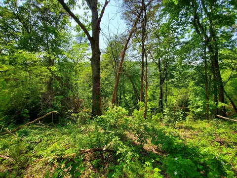 1105862 Loop Rd, Soddy Daisy, TN 37379 photo 5