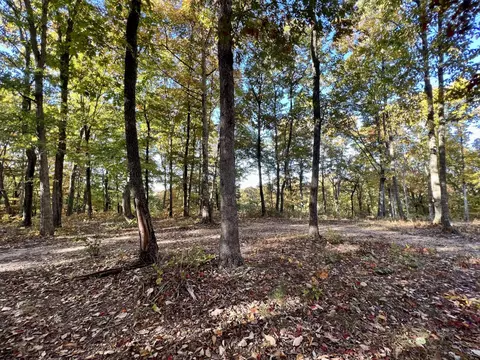 281 Sunset Bluff Dr, Monteagle, TN 37356 photo 5