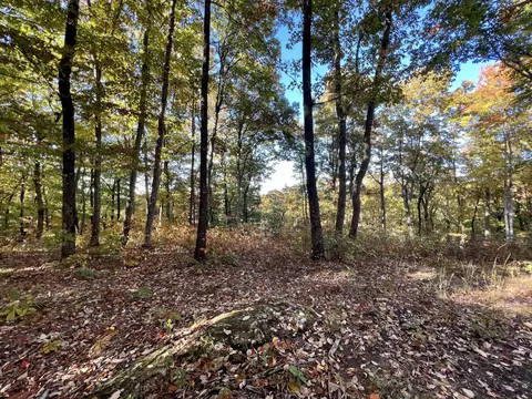 281 Sunset Bluff Dr, Monteagle, TN 37356 photo 4