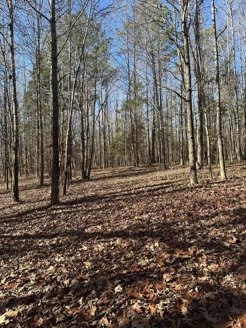 1 Lower River Rd NW, Charleston, TN 37310
