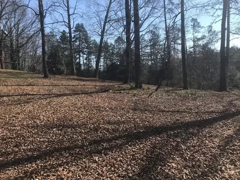 3 NW Old Lower River Rd, Charleston, TN 37310