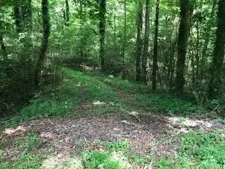 9702 Old Moore Rd, Ooltewah, TN 37363 photo 1