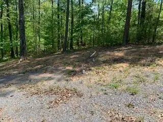 290 County Rd #714, Cedar Bluff, AL 35959 photo 22