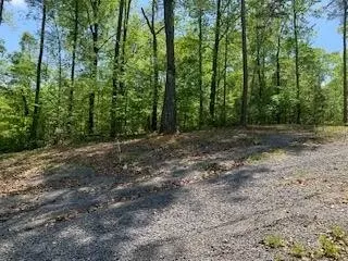 290 County Rd #714, Cedar Bluff, AL 35959 photo 21