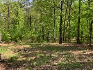 290 County Rd #714, Cedar Bluff, AL 35959 photo 20