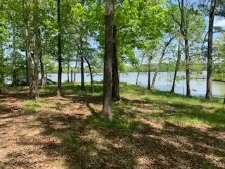 290 County Rd #714, Cedar Bluff, AL 35959 photo 15