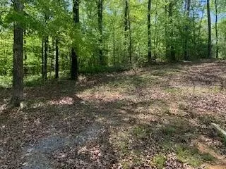 290 County Rd #714, Cedar Bluff, AL 35959 photo 18