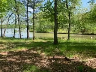 290 County Rd #714, Cedar Bluff, AL 35959 photo 14