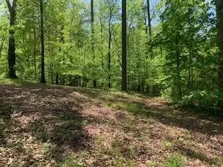 290 County Rd #714, Cedar Bluff, AL 35959 photo 26