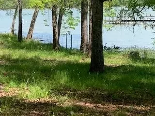 290 County Rd #714, Cedar Bluff, AL 35959 photo 17