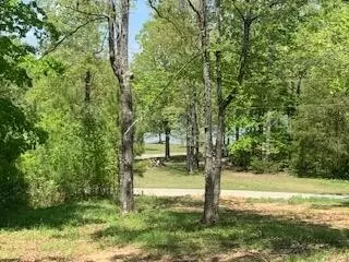 290 County Rd #714, Cedar Bluff, AL 35959 photo 25