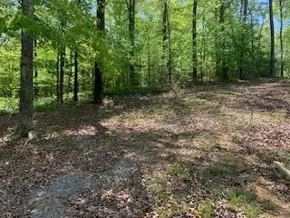290 County Rd #714, Cedar Bluff, AL 35959 photo 19