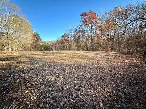45 Overlook Way, Cohutta, GA 30710