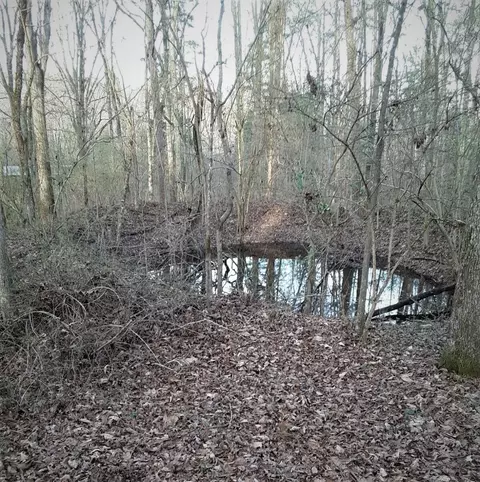 6418 Cooley Rd, Harrison, TN 37341 photo 30