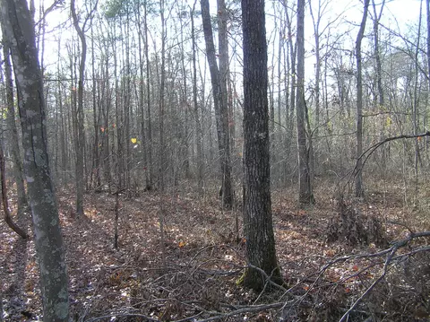 27 Reflection Dr, Dunlap, TN 37327 photo 12