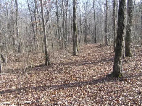 27 Reflection Dr, Dunlap, TN 37327 photo 17