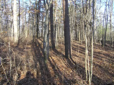 27 Reflection Dr, Dunlap, TN 37327 photo 14