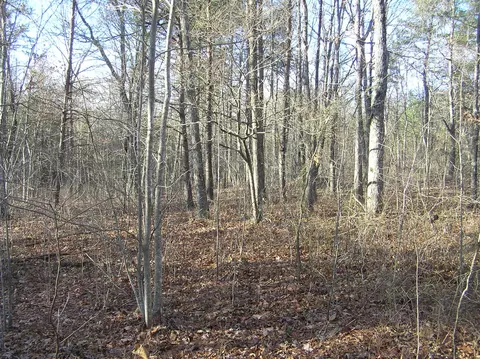 27 Reflection Dr, Dunlap, TN 37327 photo 6