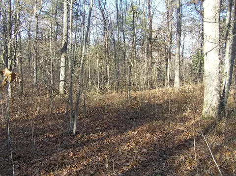27 Reflection Dr, Dunlap, TN 37327 photo 13