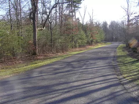 27 Reflection Dr, Dunlap, TN 37327 photo 8