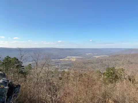 210 Bobcat Trl, Jasper, TN 37347 photo 14