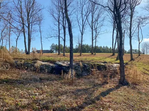 210 Bobcat Trl, Jasper, TN 37347 photo 17