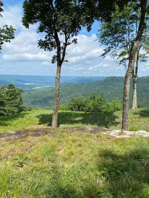 210 Bobcat Trl, Jasper, TN 37347 photo 2
