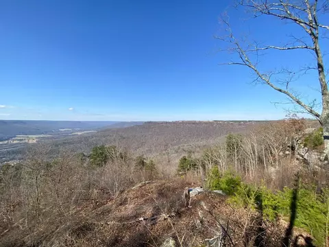 210 Bobcat Trl, Jasper, TN 37347 photo 15