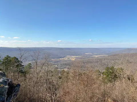 210 Bobcat Trl, Jasper, TN 37347 photo 14