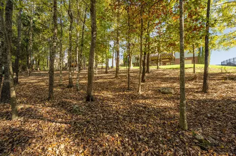 3145 Reflection Ln, Ooltewah, TN 37363 photo 22
