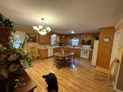 151 Pebble Dr, Dunlap, TN 37327 photo 38