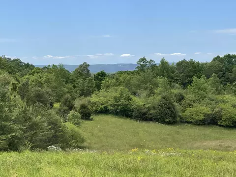 6259 Cooley Rd, Harrison, TN 37341 photo 4