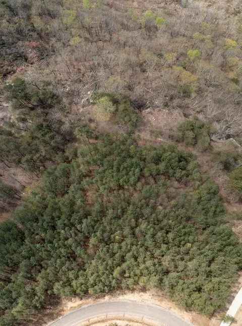 0 Pine Knot Pass, Jasper, TN 37347 photo 6