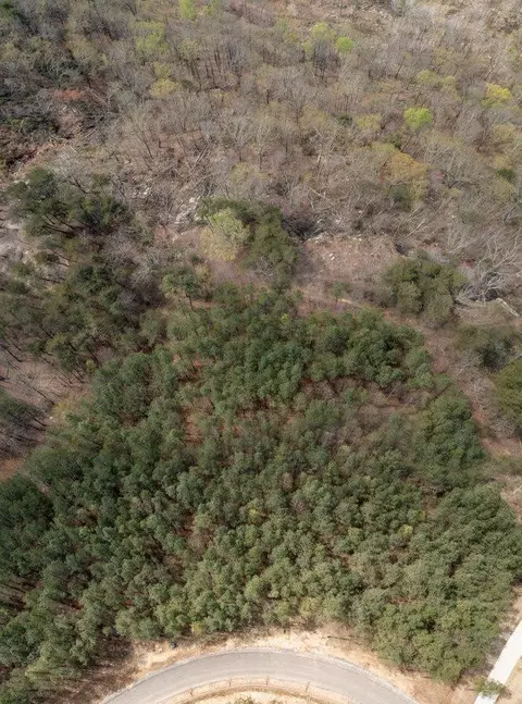 0 Pine Knot Pass, Jasper, TN 37347 photo 6