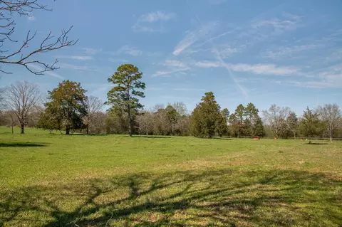 1408 Saunders Rd, Ringgold, GA 30736 photo 54