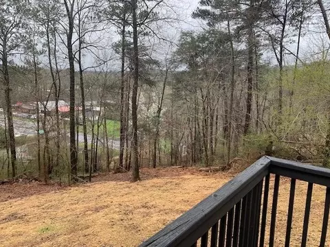 87 Creeks Bend Dr, Ringgold, GA 30736 photo 19
