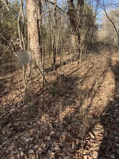 8219 Smith Rd, Georgetown, TN 37336 photo 14