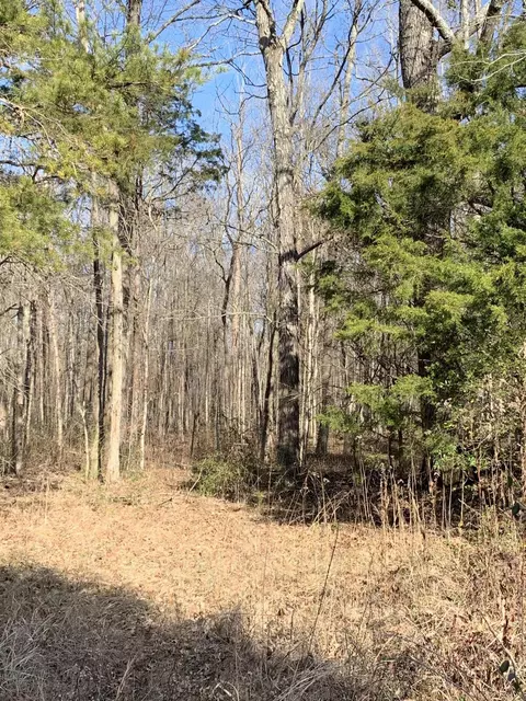 8219 Smith Rd, Georgetown, TN 37336 photo 13