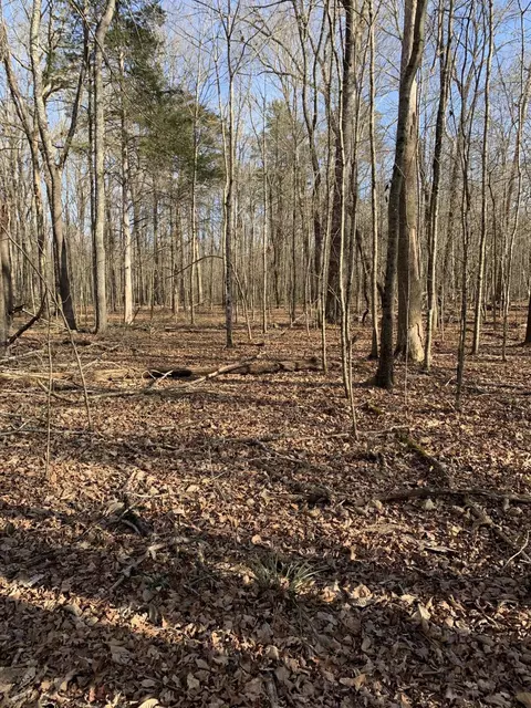 8219 Smith Rd, Georgetown, TN 37336 photo 15