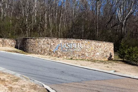 0 Pappy Rd, Jasper, TN 37347 photo 8