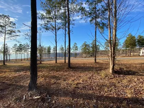 0 Pappy Rd, Jasper, TN 37347 photo 3