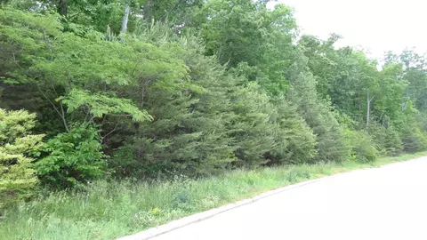 890 Split Rock Trl, Hixson, TN 37343 photo 4