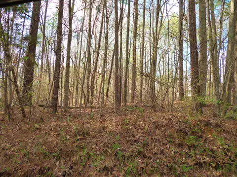 1582 Eldridge Rd, Soddy Daisy, TN 37379 photo 2