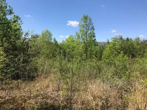 1084 Hudlow Loop Rd, Dunlap, TN 37327 photo 8