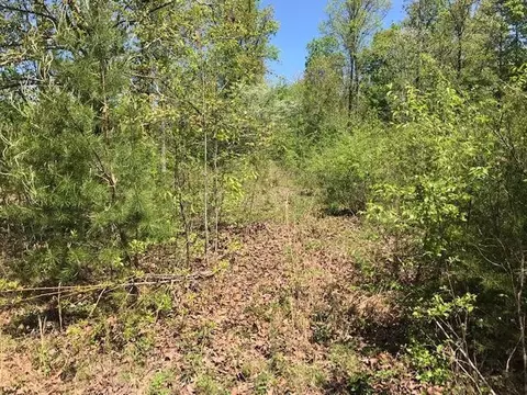 1084 Hudlow Loop Rd, Dunlap, TN 37327 photo 6