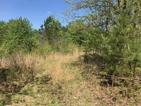 1084 Hudlow Loop Rd, Dunlap, TN 37327 photo 7